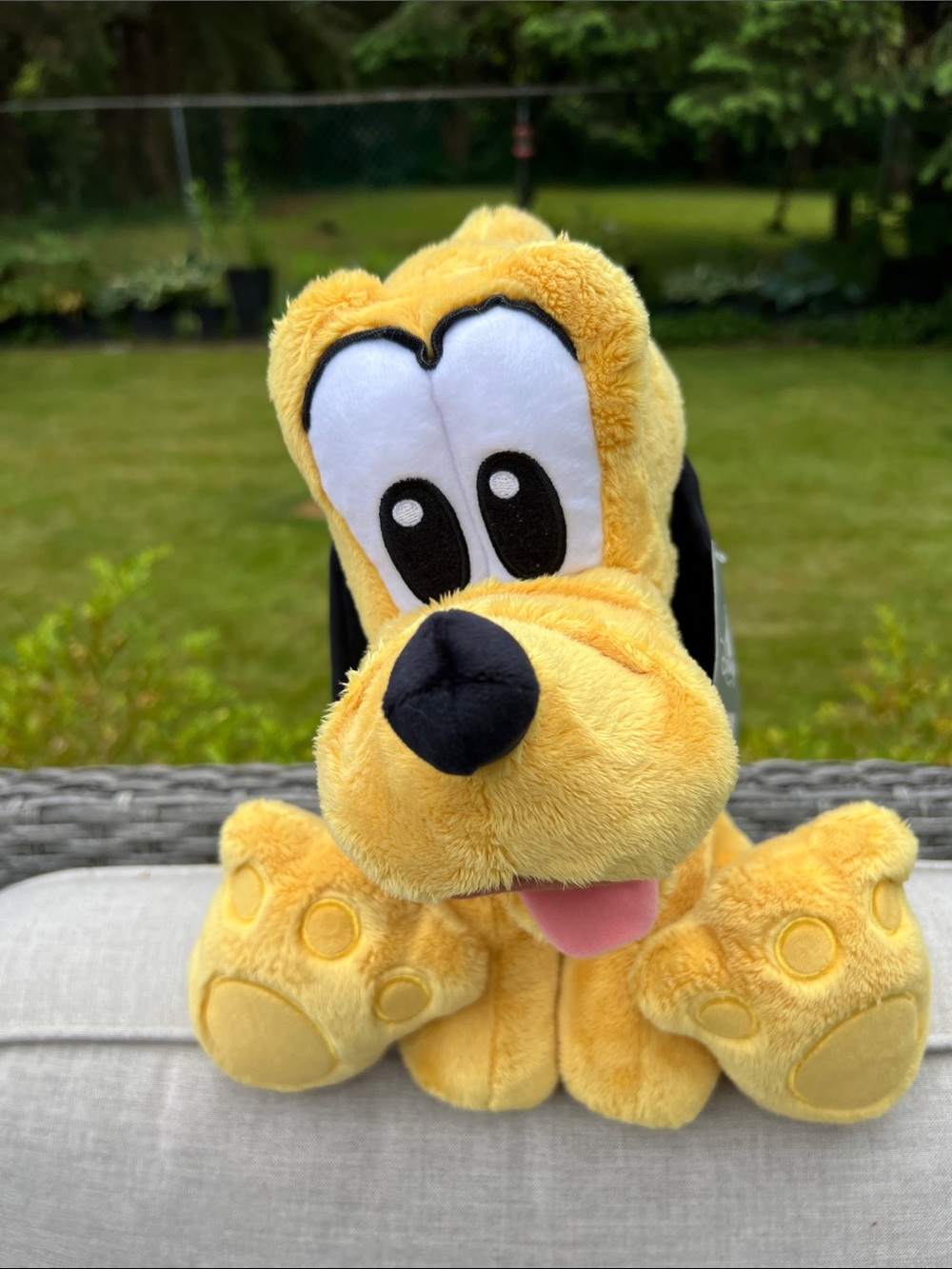Disney Store Big Feet Pluto Plush 12" Mickey Mouse Dog Stuffed Toy NWT 2023